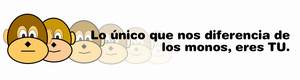 Que "mono" eres!